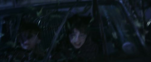 CS-Potterish_01830.jpg