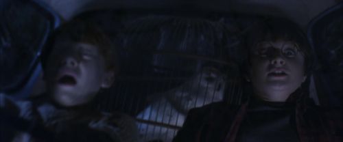 CS-Potterish_01837.jpg