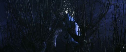 Click to view full size image
==============
CS-Potterish_01839.jpg CS-Potterish_01839.jpg