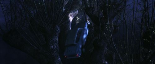 CS-Potterish_01841.jpg