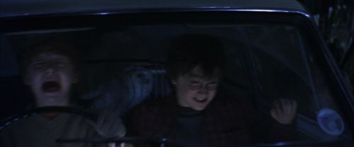 CS-Potterish_01846.jpg