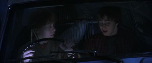 CS-Potterish_01856.jpg