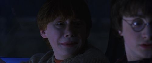 Click to view full size image
==============
CS-Potterish_01858.jpg CS-Potterish_01858.jpg