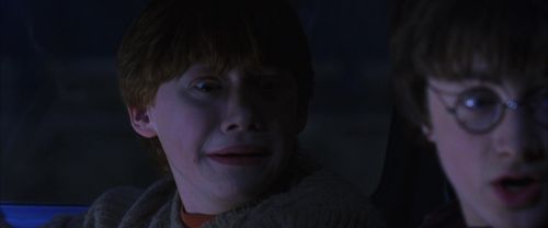 CS-Potterish_01859.jpg