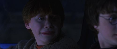 CS-Potterish_01860.jpg