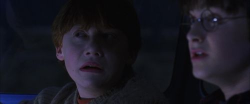 Click to view full size image
==============
CS-Potterish_01861.jpg CS-Potterish_01861.jpg