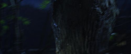 CS-Potterish_01864.jpg