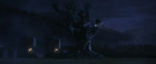 CS-Potterish_01865.jpg