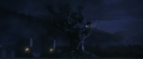 CS-Potterish_01866.jpg