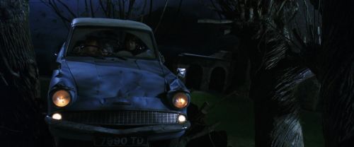 CS-Potterish_01869.jpg
