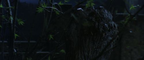 CS-Potterish_01872.jpg