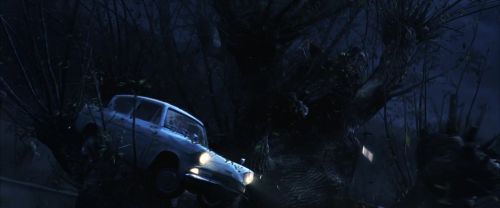 CS-Potterish_01885.jpg