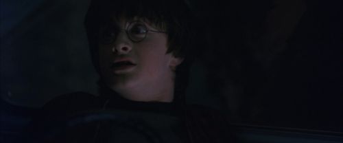 CS-Potterish_01890.jpg