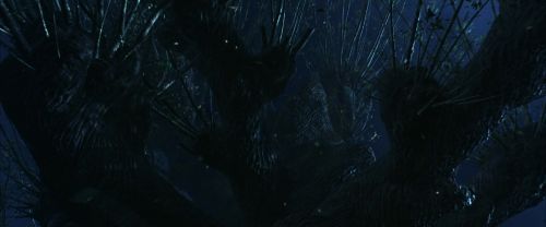 CS-Potterish_01902.jpg