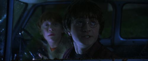 CS-Potterish_01903.jpg