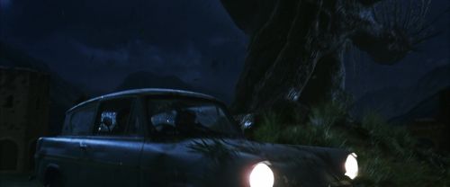 CS-Potterish_01907.jpg
