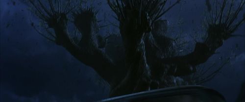 CS-Potterish_01908.jpg