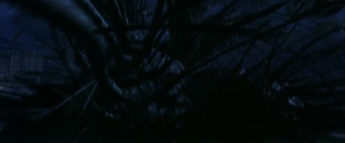 CS-Potterish_01913.jpg
