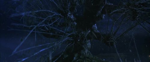 Click to view full size image
==============
CS-Potterish_01918.jpg CS-Potterish_01918.jpg