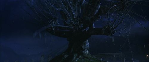 CS-Potterish_01919.jpg