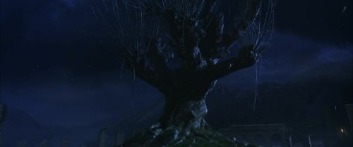 CS-Potterish_01921.jpg