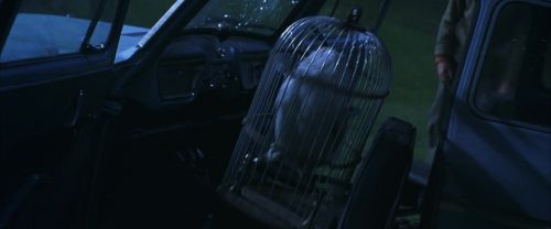 Click to view full size image
==============
CS-Potterish_01938.jpg CS-Potterish_01938.jpg