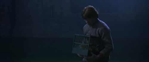 Click to view full size image
==============
CS-Potterish_01942.jpg CS-Potterish_01942.jpg