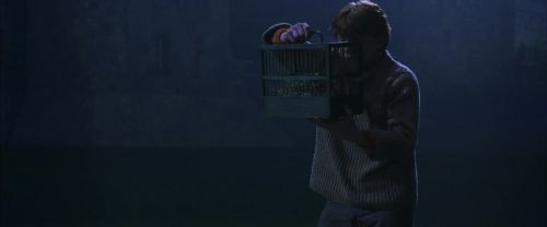 CS-Potterish_01943.jpg