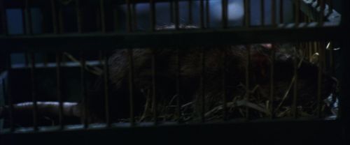 CS-Potterish_01945.jpg