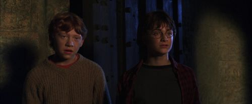 CS-Potterish_01967.jpg