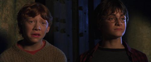 CS-Potterish_01969.jpg