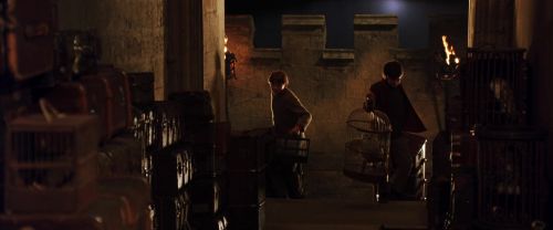 Click to view full size image
==============
CS-Potterish_01977.jpg CS-Potterish_01977.jpg