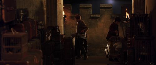 Click to view full size image
==============
CS-Potterish_01978.jpg CS-Potterish_01978.jpg