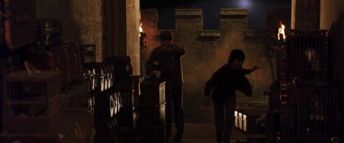 CS-Potterish_01980.jpg