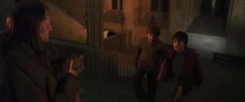 Click to view full size image
==============
CS-Potterish_01997.jpg CS-Potterish_01997.jpg