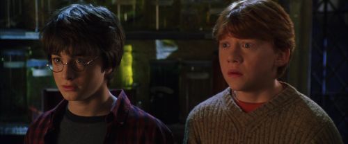 CS-Potterish_02057.jpg