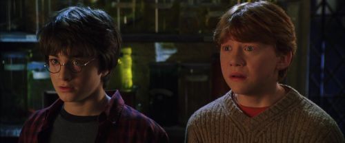 CS-Potterish_02058.jpg