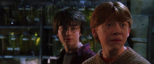 Click to view full size image
==============
CS-Potterish_02069.jpg CS-Potterish_02069.jpg