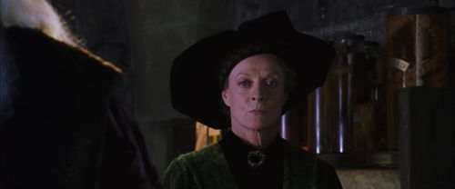 CS-Potterish_02072.jpg