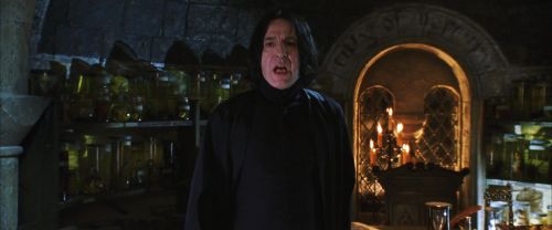 CS-Potterish_02073.jpg