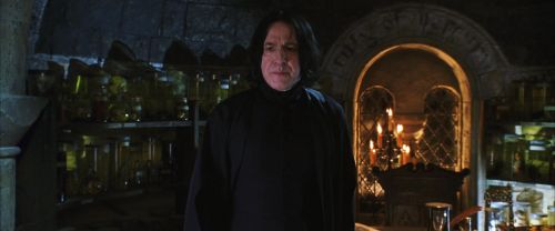 CS-Potterish_02074.jpg