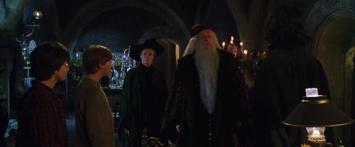 CS-Potterish_02084.jpg