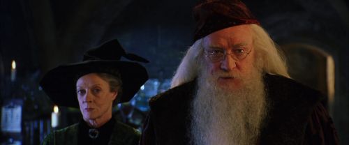 CS-Potterish_02092.jpg