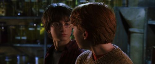 CS-Potterish_02113.jpg