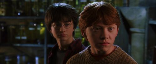 CS-Potterish_02119.jpg