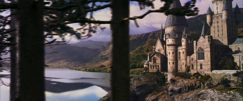 CS-Potterish_02131.jpg