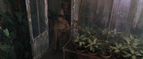Click to view full size image
==============
CS-Potterish_02152.jpg CS-Potterish_02152.jpg