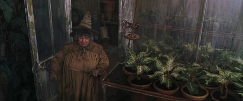 Click to view full size image
==============
CS-Potterish_02153.jpg CS-Potterish_02153.jpg