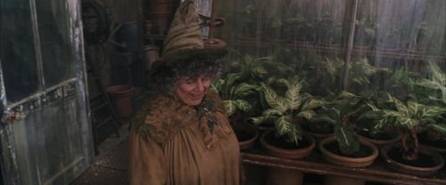 Click to view full size image
==============
CS-Potterish_02154.jpg CS-Potterish_02154.jpg