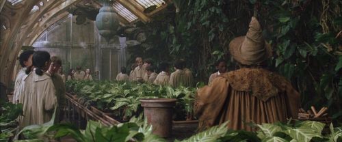 Click to view full size image
==============
CS-Potterish_02156.jpg CS-Potterish_02156.jpg